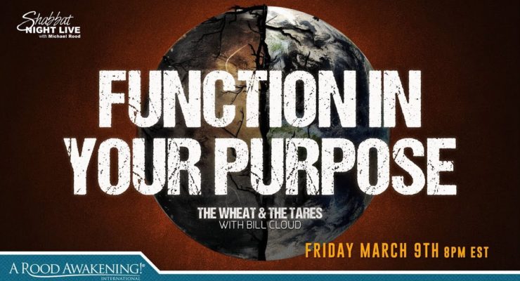 Function In Your Purpose