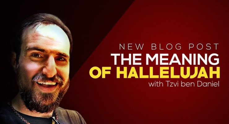 What Does Hallelujah Mean? - with Tzvi ben Daniel