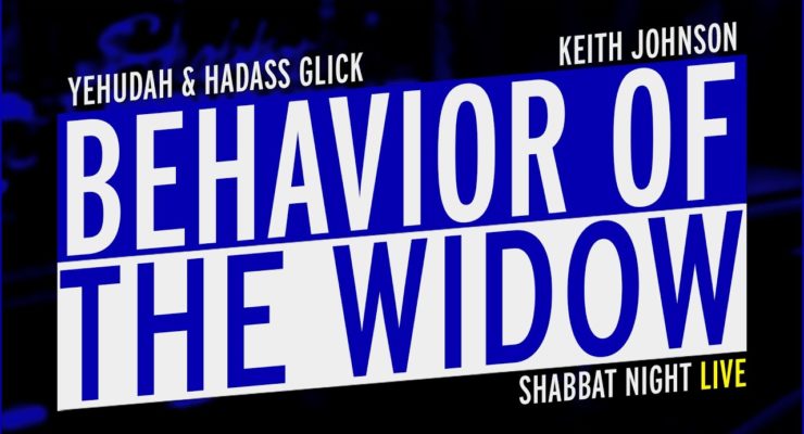 Behavior of the Widow (PROMO) | Shabbat Night Live