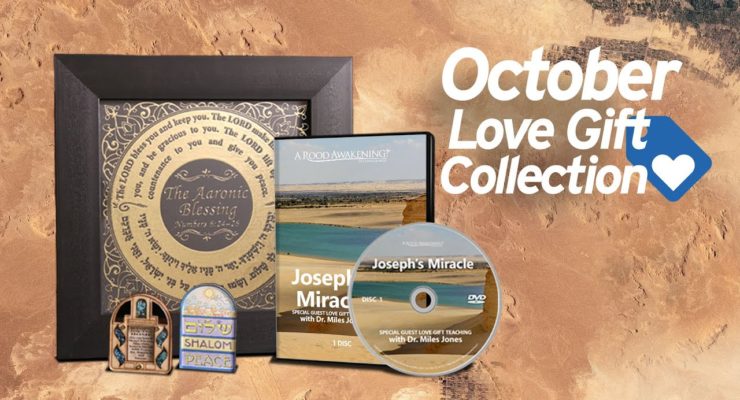 Joseph's Miracle | October 2022 Love Gift